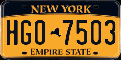 NY license plate HGO7503