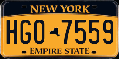 NY license plate HGO7559