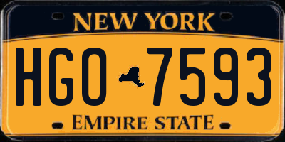 NY license plate HGO7593