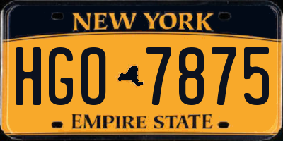 NY license plate HGO7875