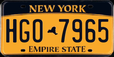 NY license plate HGO7965