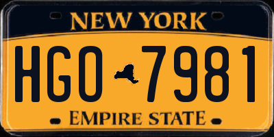 NY license plate HGO7981