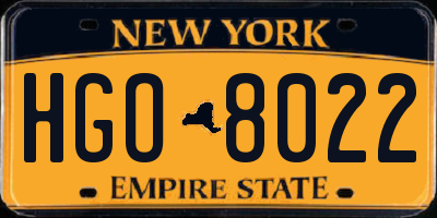 NY license plate HGO8022