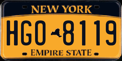 NY license plate HGO8119