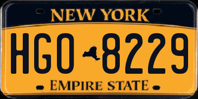 NY license plate HGO8229