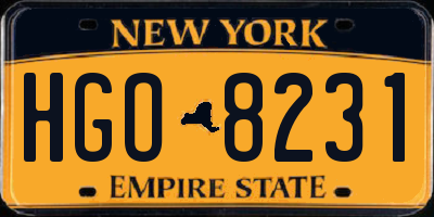 NY license plate HGO8231