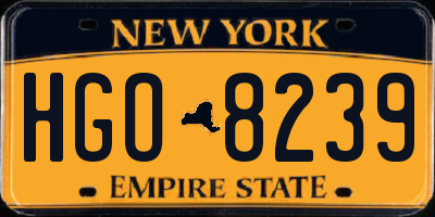 NY license plate HGO8239