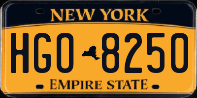 NY license plate HGO8250