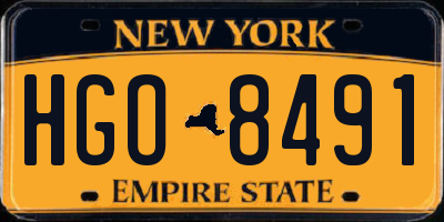 NY license plate HGO8491