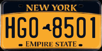 NY license plate HGO8501