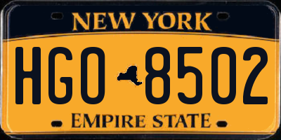 NY license plate HGO8502