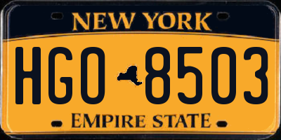 NY license plate HGO8503