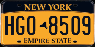 NY license plate HGO8509