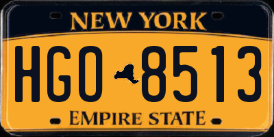 NY license plate HGO8513