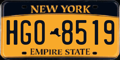 NY license plate HGO8519