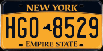 NY license plate HGO8529