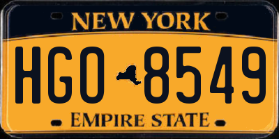 NY license plate HGO8549