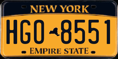 NY license plate HGO8551