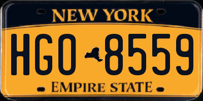 NY license plate HGO8559