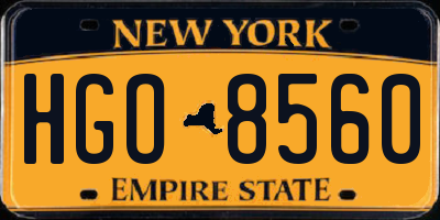 NY license plate HGO8560