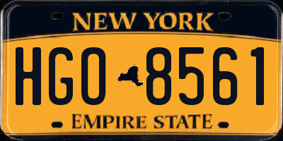 NY license plate HGO8561