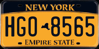 NY license plate HGO8565