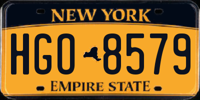 NY license plate HGO8579