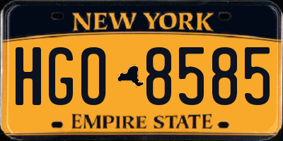 NY license plate HGO8585