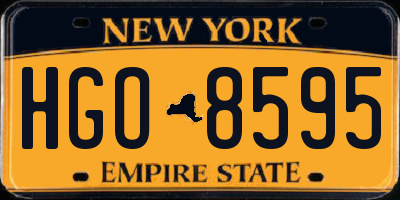 NY license plate HGO8595