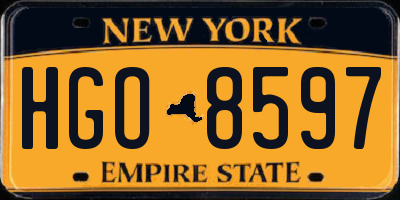 NY license plate HGO8597