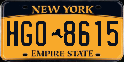 NY license plate HGO8615