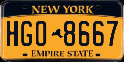 NY license plate HGO8667