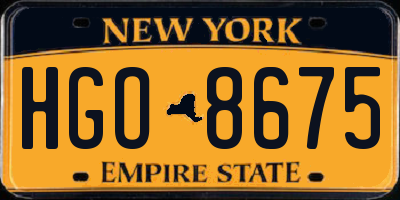 NY license plate HGO8675