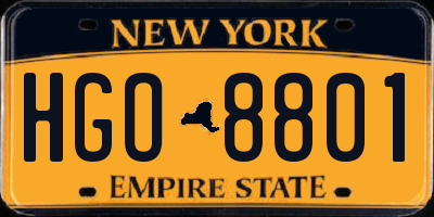 NY license plate HGO8801