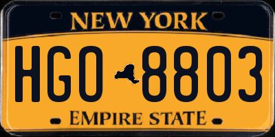 NY license plate HGO8803