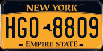 NY license plate HGO8809