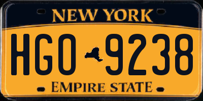 NY license plate HGO9238