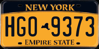 NY license plate HGO9373