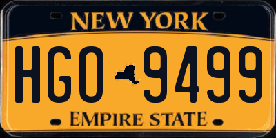 NY license plate HGO9499