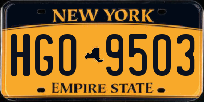 NY license plate HGO9503