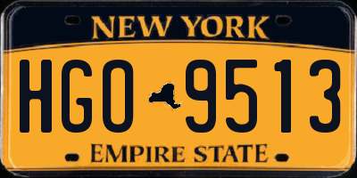 NY license plate HGO9513