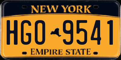 NY license plate HGO9541