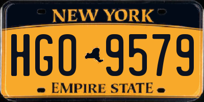 NY license plate HGO9579