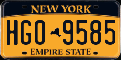 NY license plate HGO9585