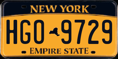 NY license plate HGO9729