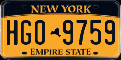 NY license plate HGO9759