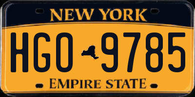 NY license plate HGO9785