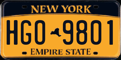 NY license plate HGO9801