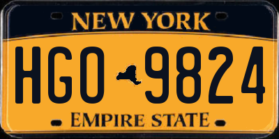 NY license plate HGO9824