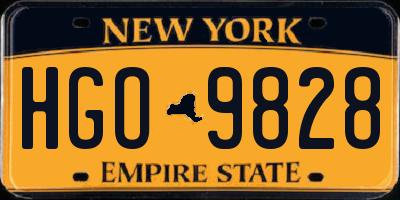 NY license plate HGO9828